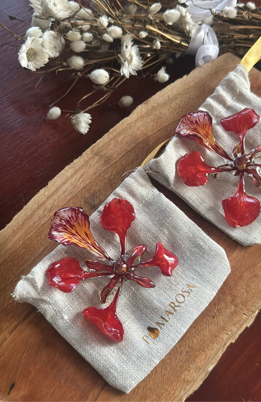 La Flor del Flamboyán – Edición Limitada