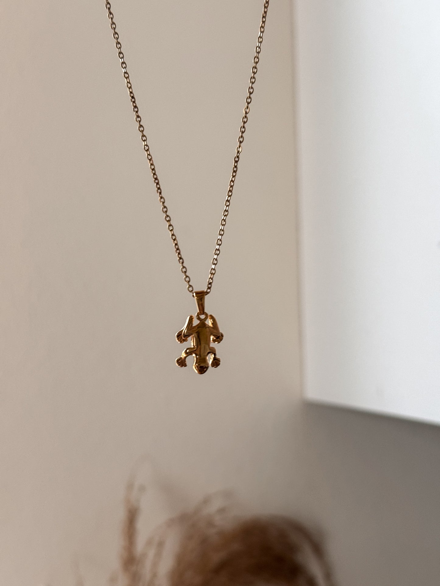 Coqui