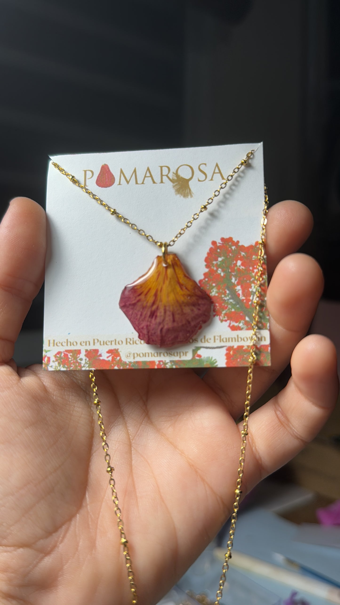 Flamboyán necklace pinto
