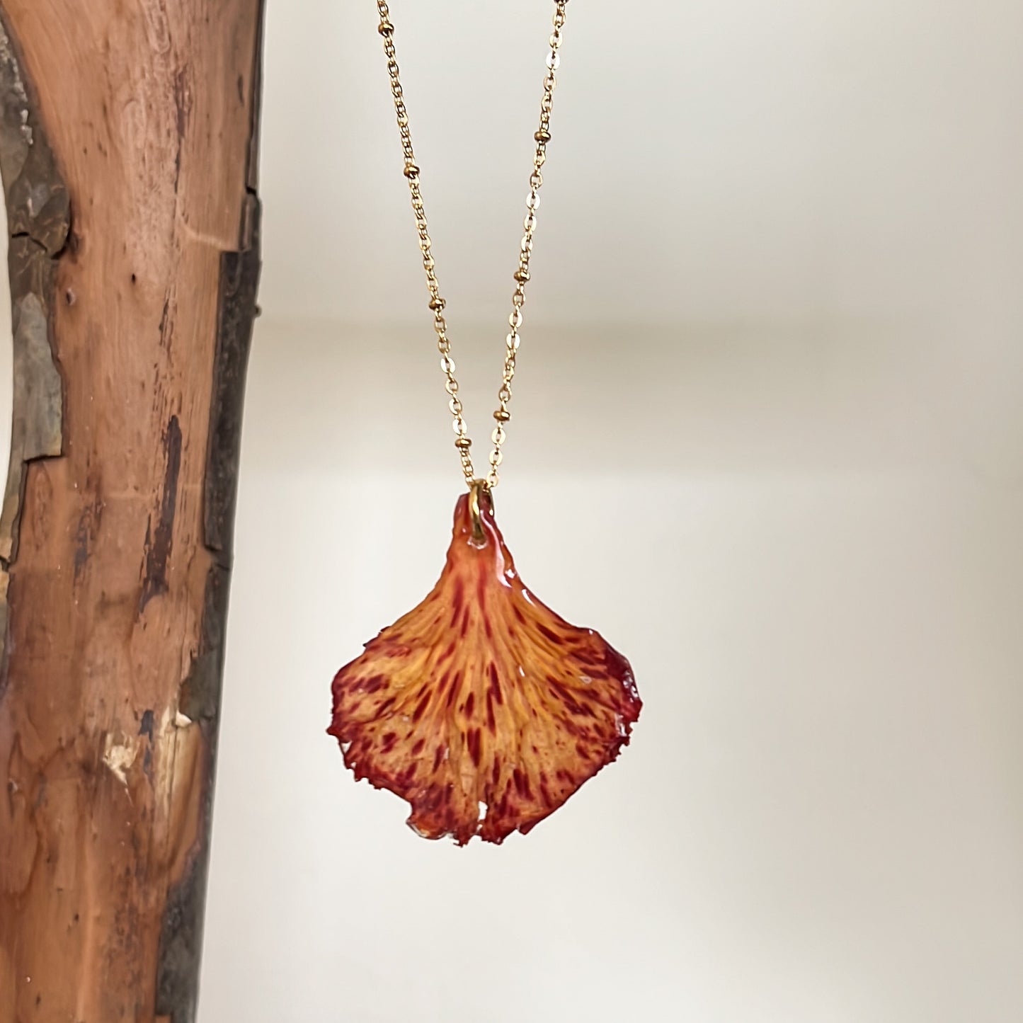 Flamboyán necklace pinto