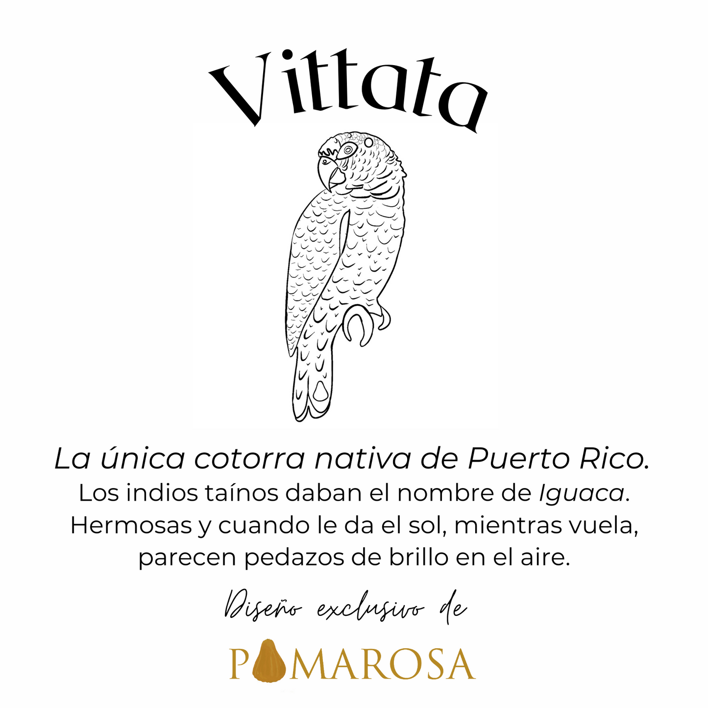 Vittata Pantallas
