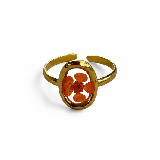 Jardín en tus manos