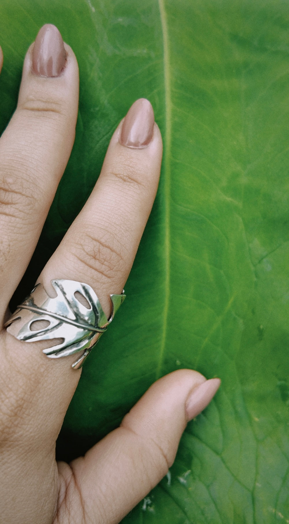 Monstera Ring Leaf