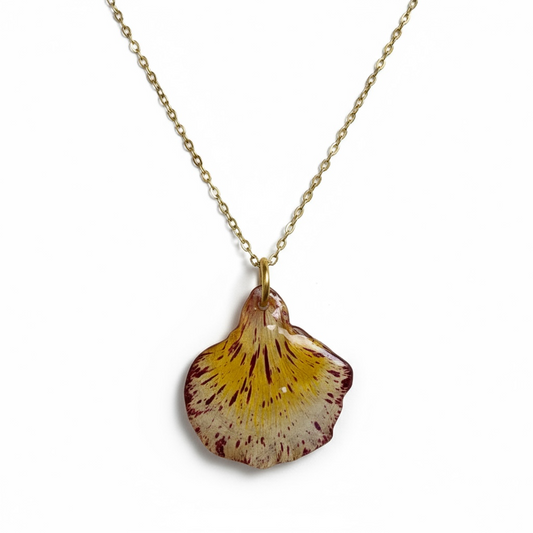 Flamboyán necklace pinto