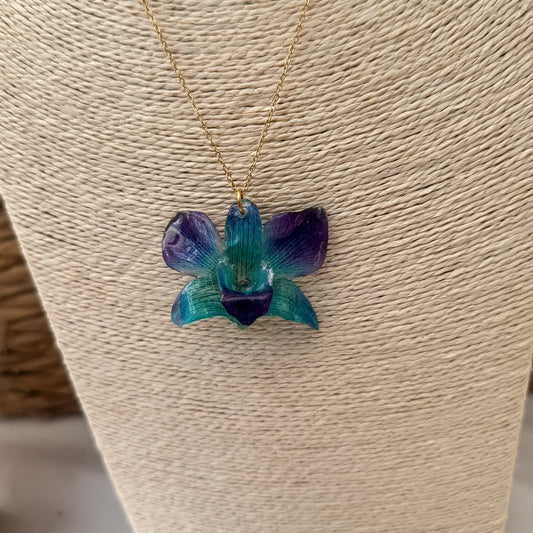 Orquídea azul *pre-order*