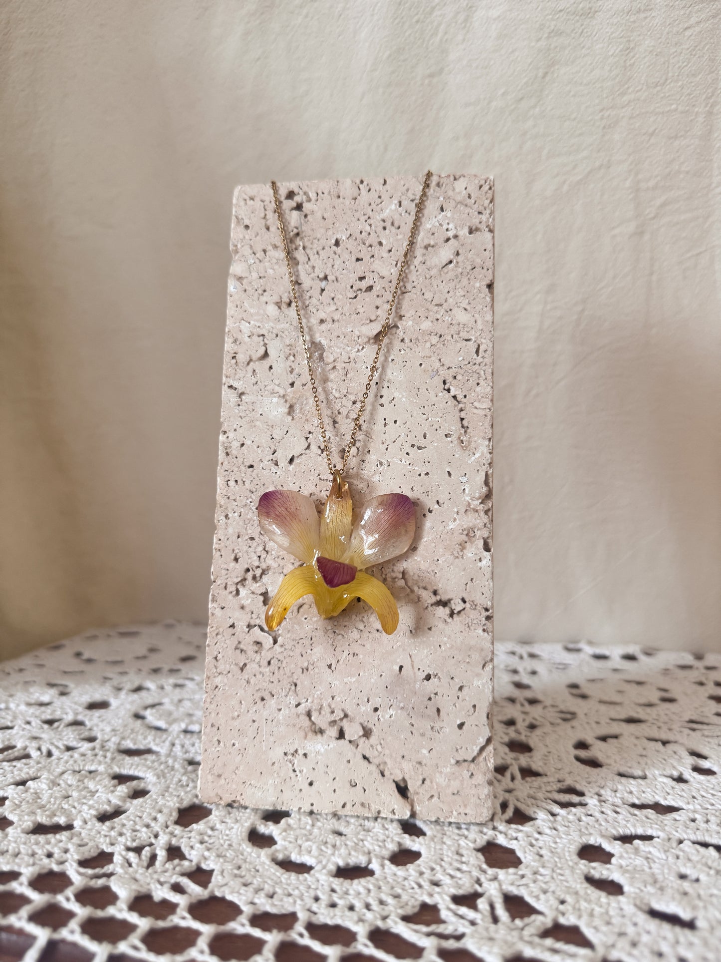 Orquídea