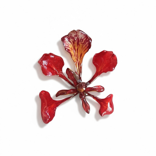 La Flor del Flamboyán – Edición Limitada